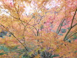 img0067.jpg