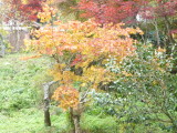 img0069.jpg
