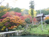 img0071.jpg