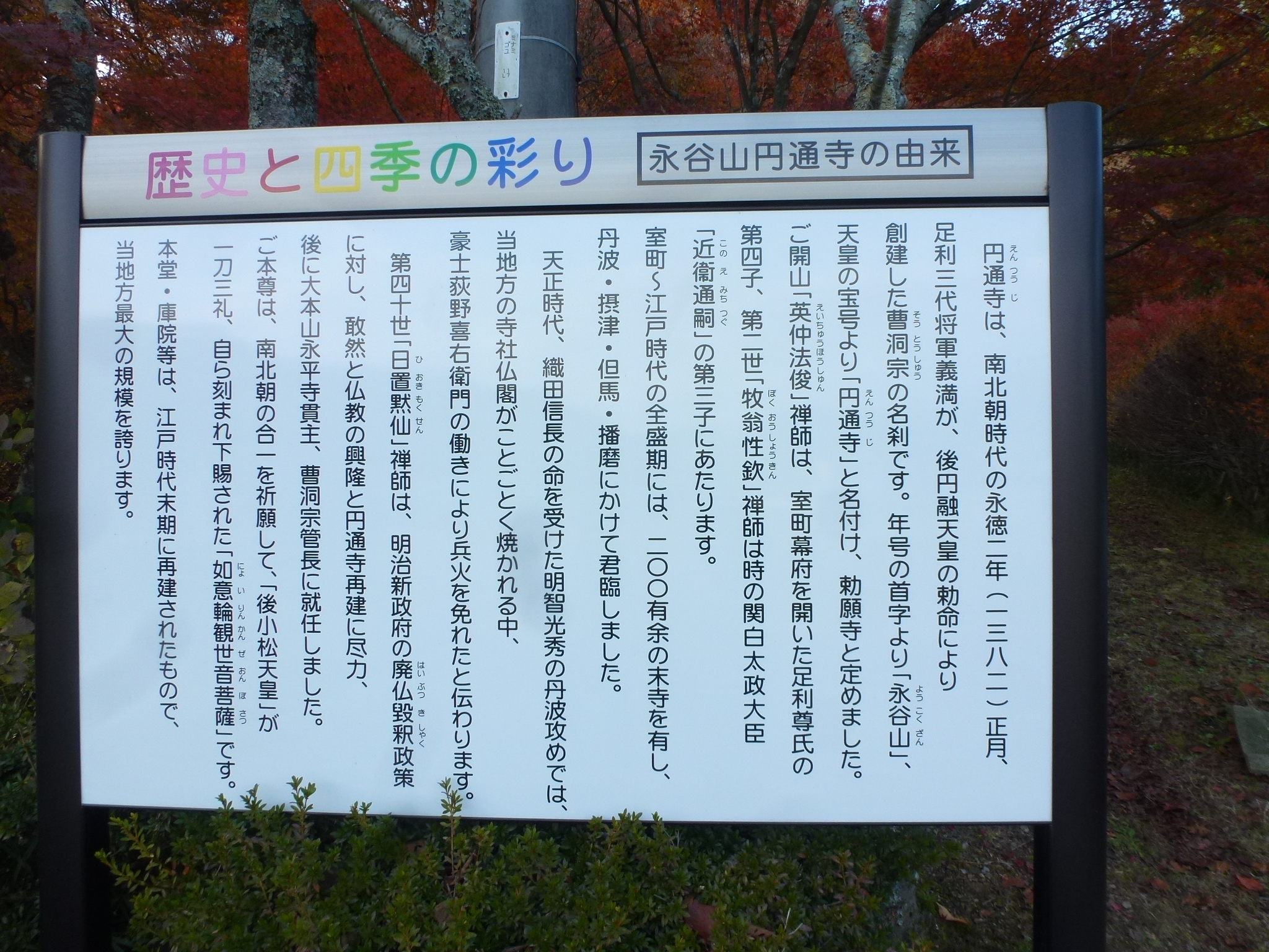 P1130895.JPG