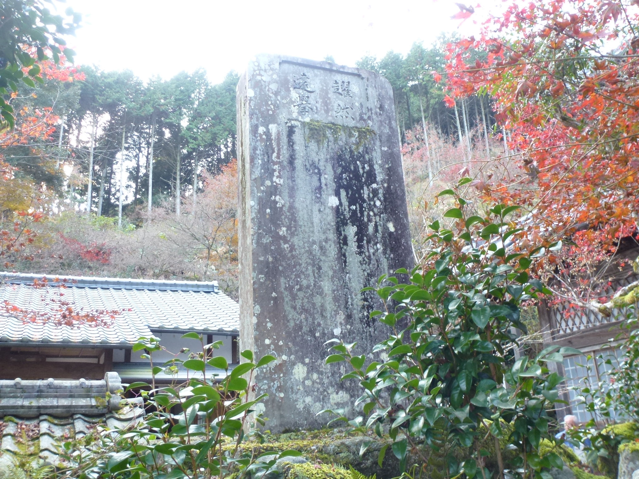 P1130902.JPG