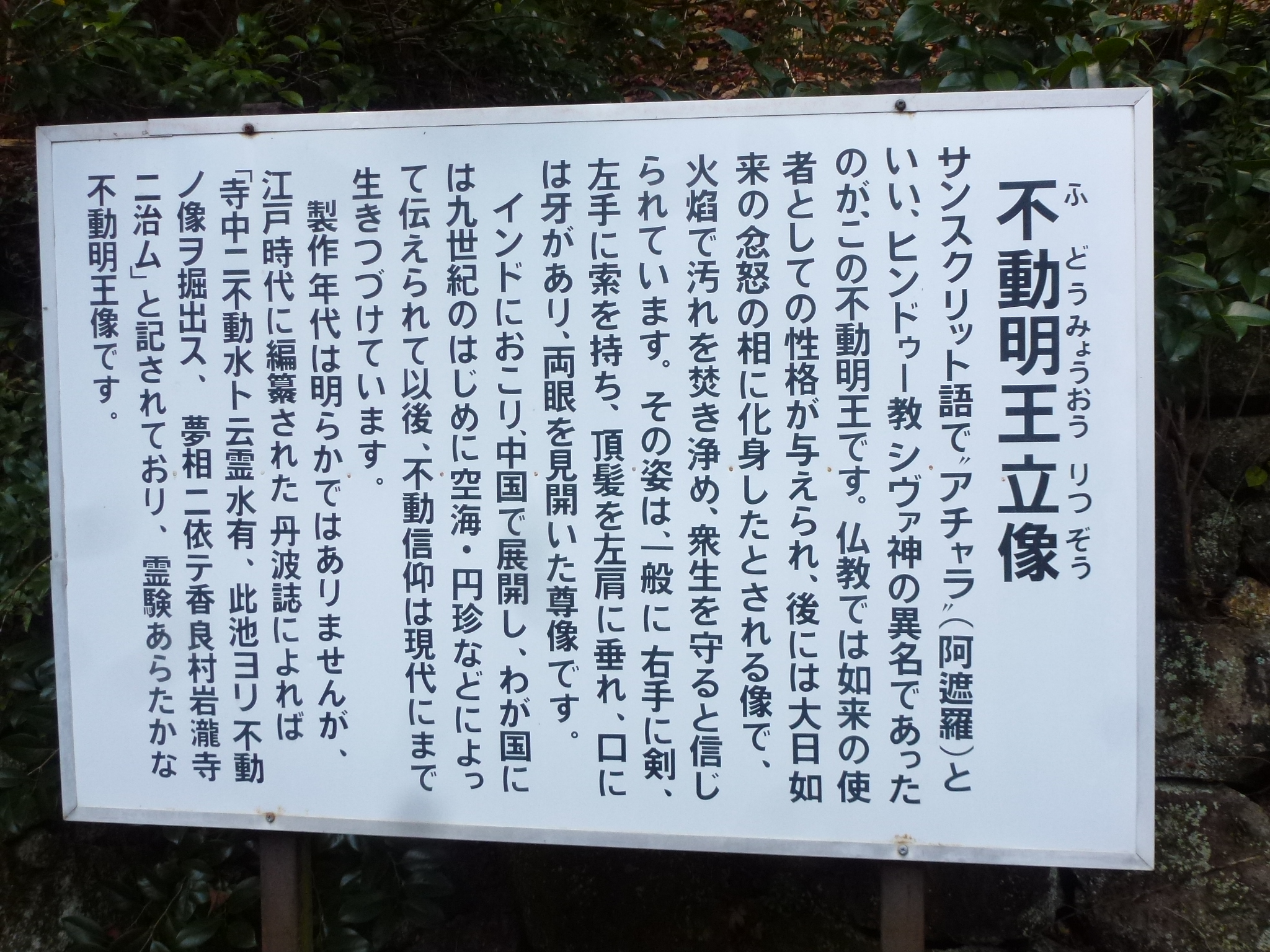 P1130905.JPG