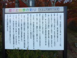 img0001.jpg