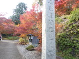 img0002.jpg