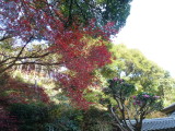 img0013.jpg