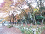 img0015.jpg