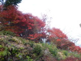 img0019.jpg
