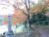 img0020.jpg