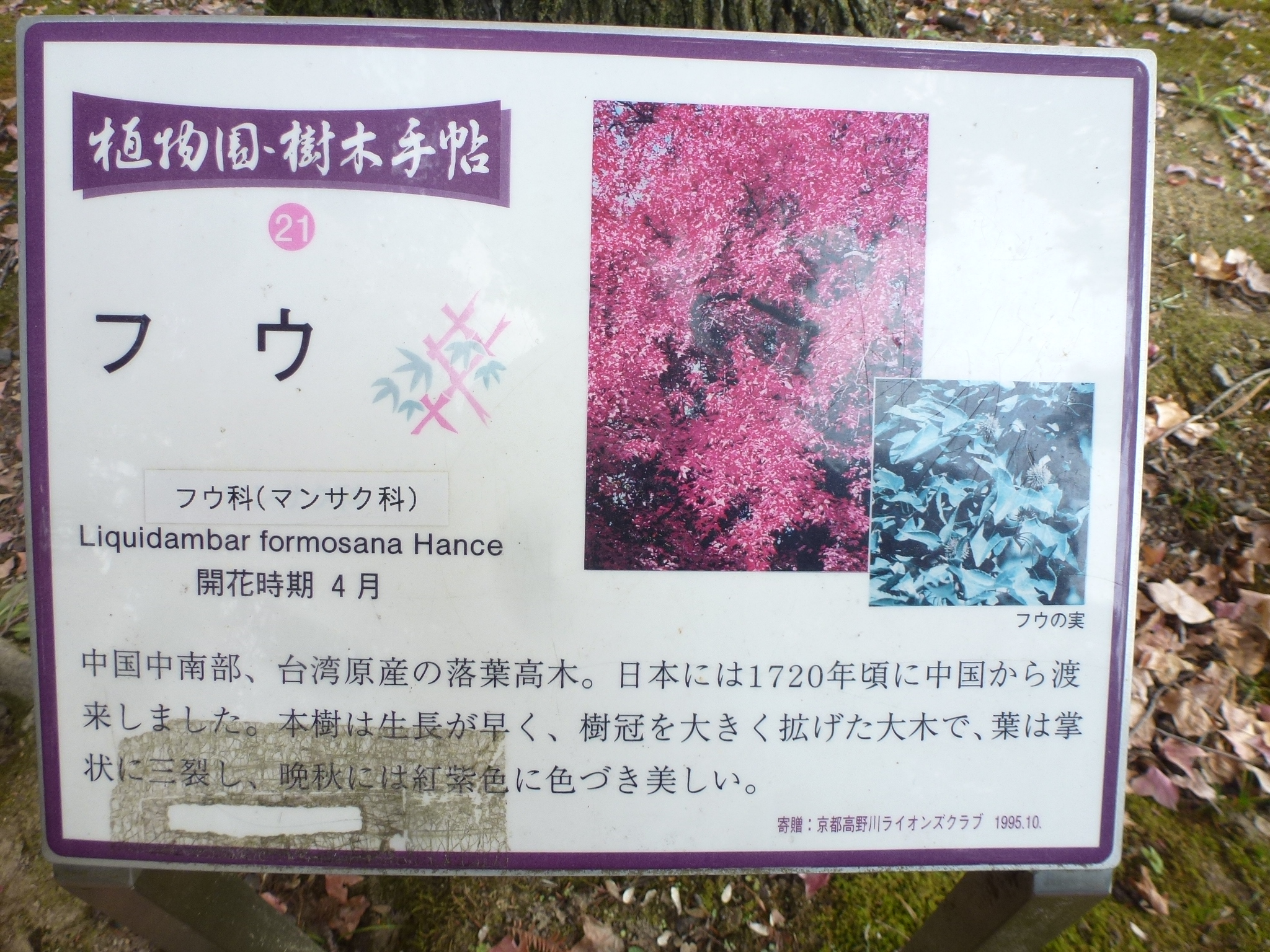 P1130915.JPG