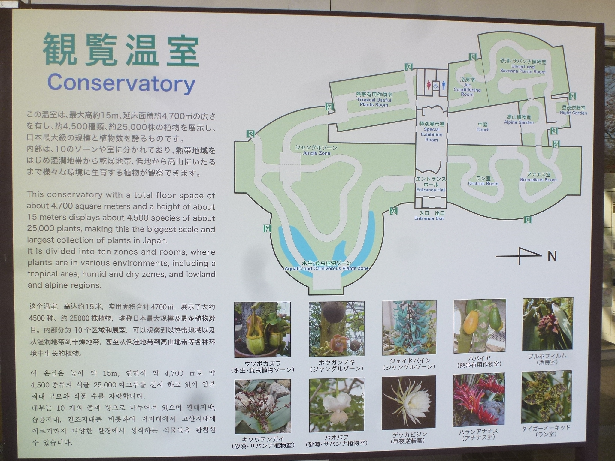 P1130931.JPG