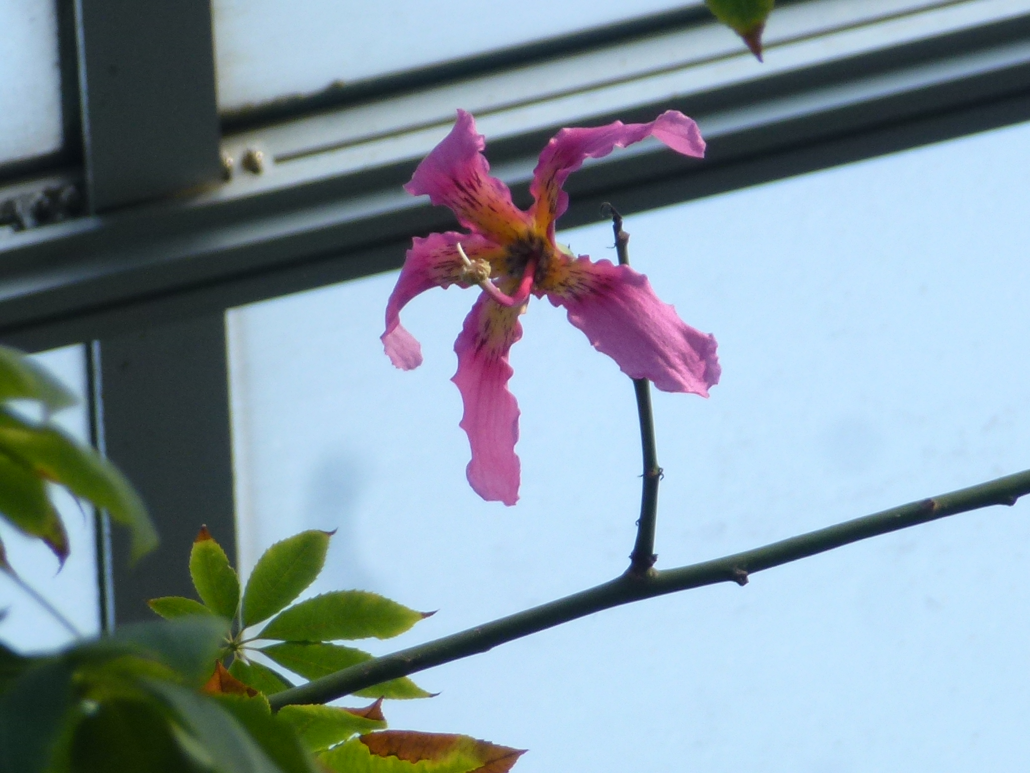 P1130945.JPG