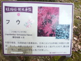 img0000.jpg