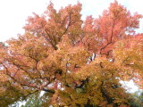 img0002.jpg
