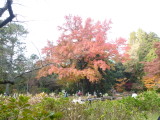 img0004.jpg