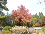 img0006.jpg
