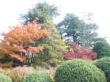 img0009.jpg