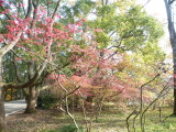 img0012.jpg