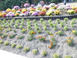 img0013.jpg