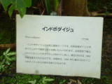 img0020.jpg