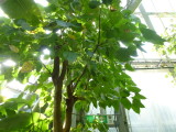 img0021.jpg