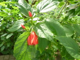 img0023.jpg