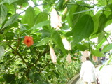 img0024.jpg