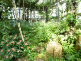 img0025.jpg