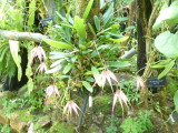 img0026.jpg