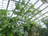 img0029.jpg