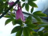 img0030.jpg