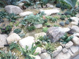img0031.jpg