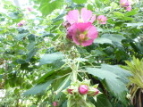 img0032.jpg