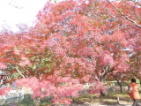 img0034.jpg