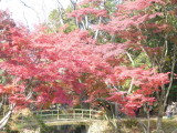 img0036.jpg