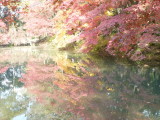 img0038.jpg