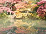 img0039.jpg