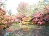 img0041.jpg