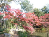 img0042.jpg
