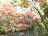 img0043.jpg