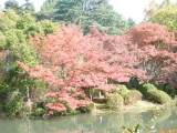 img0044.jpg