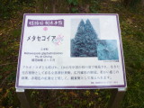 img0047.jpg