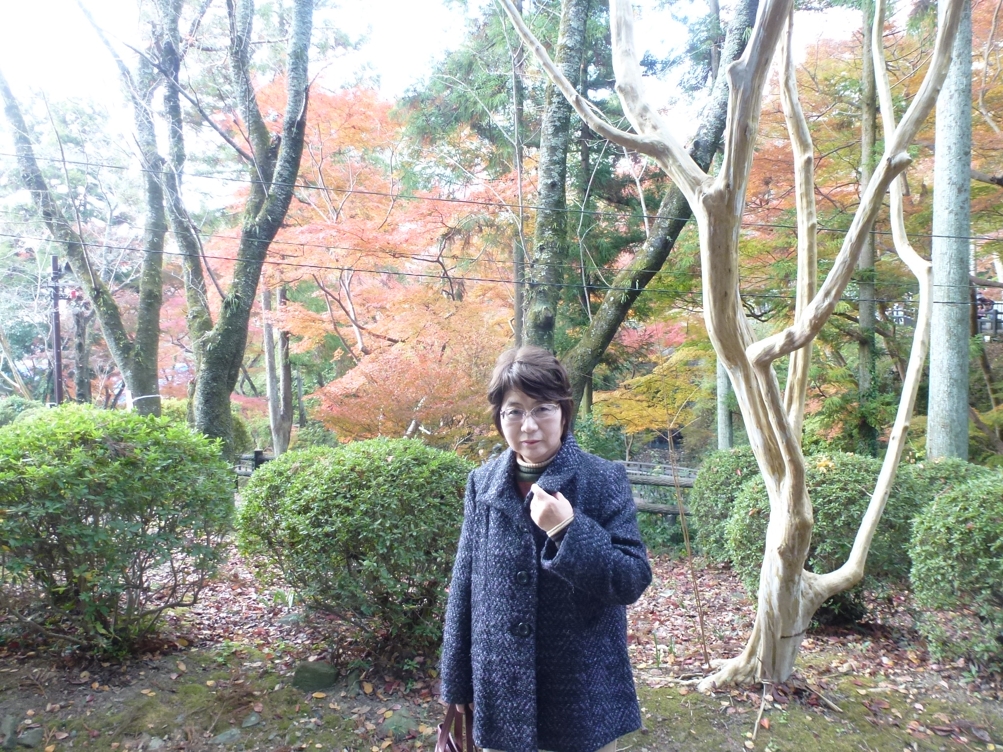 P1130994.JPG