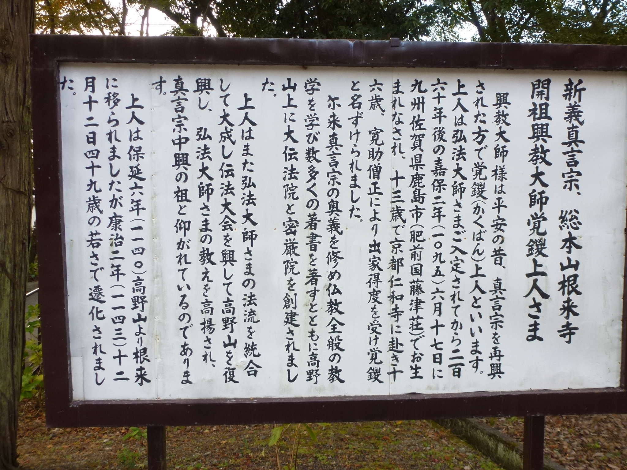 P1140008.JPG