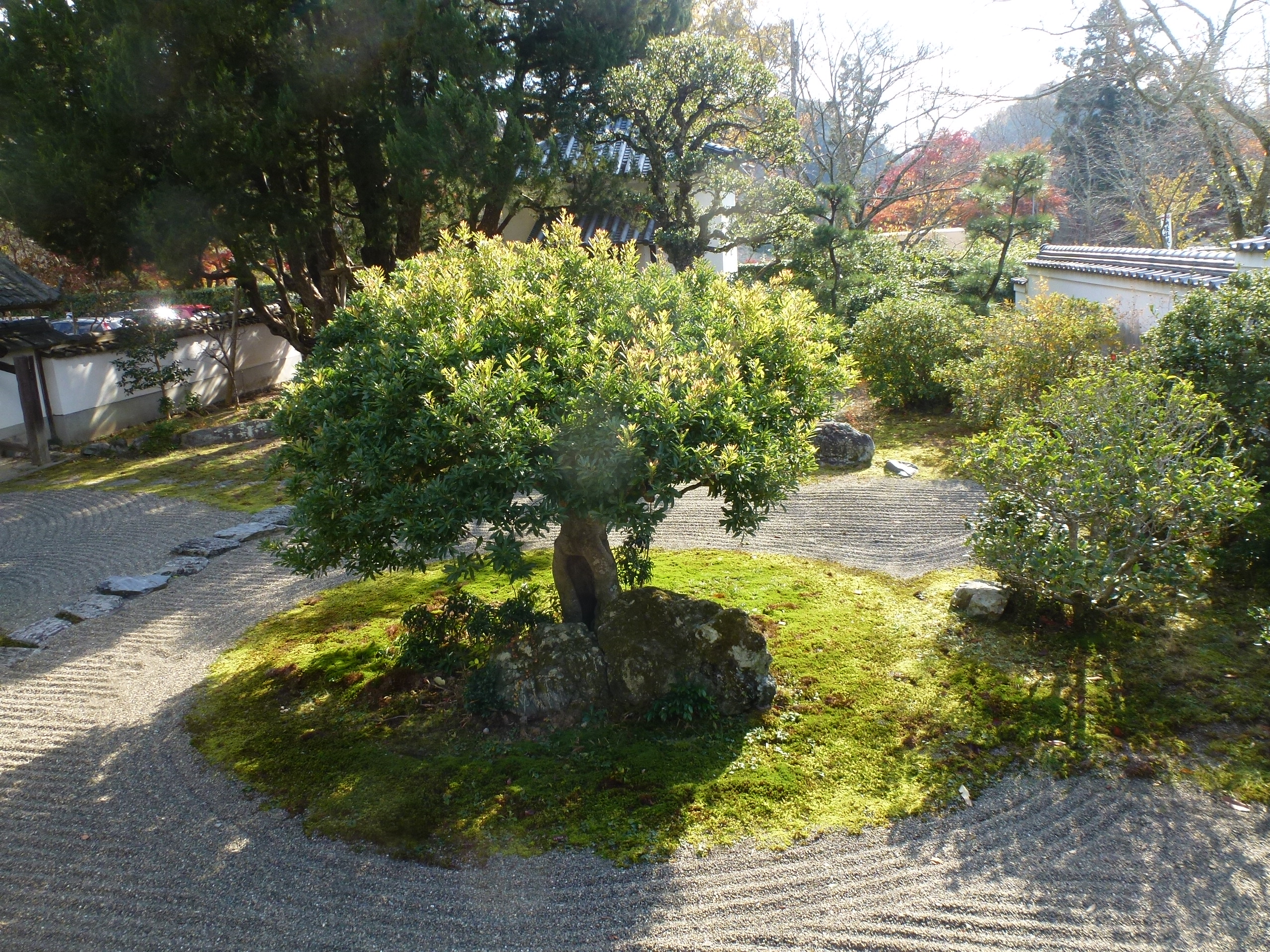 P1140016.JPG