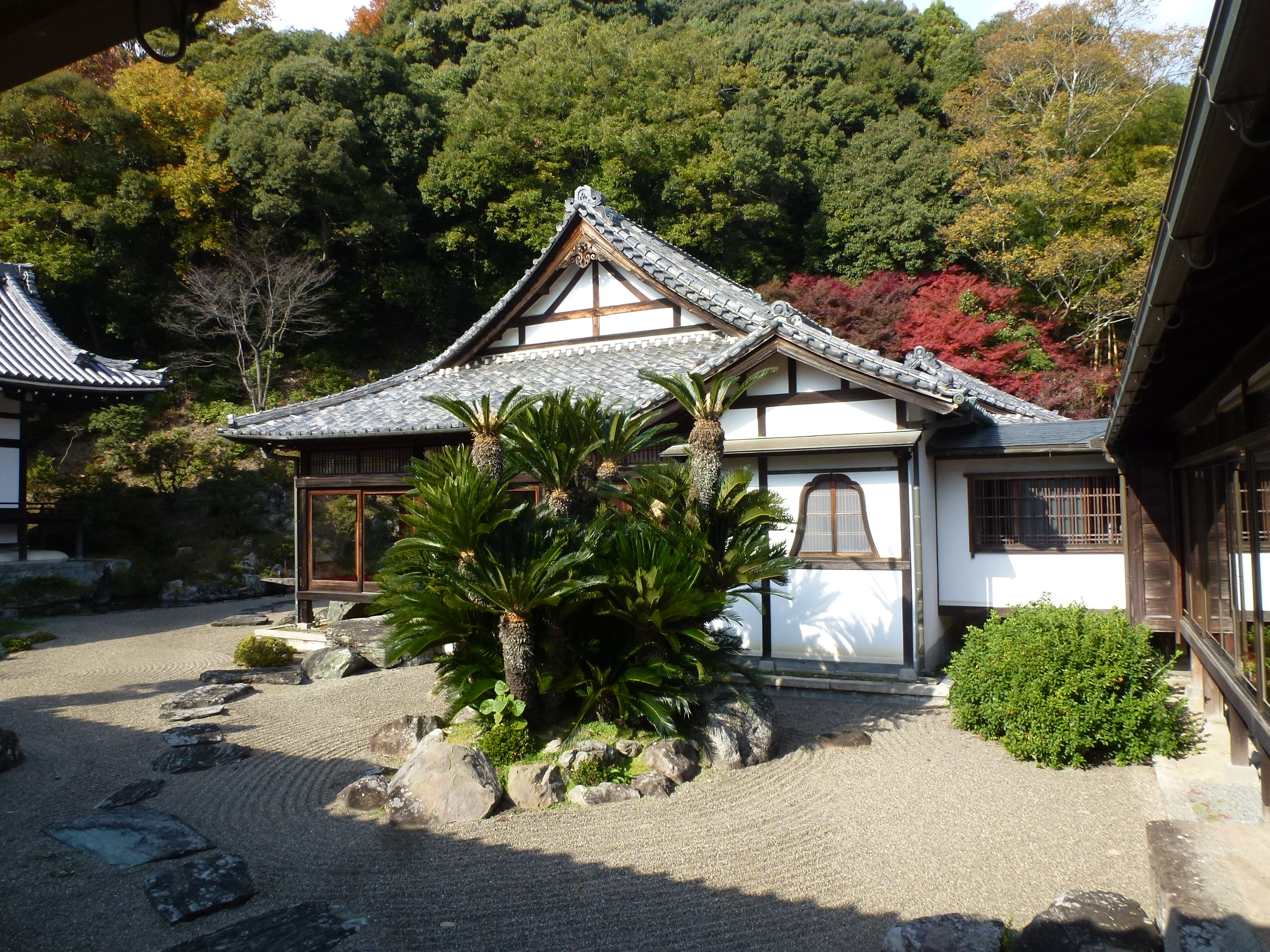 P1140017.JPG