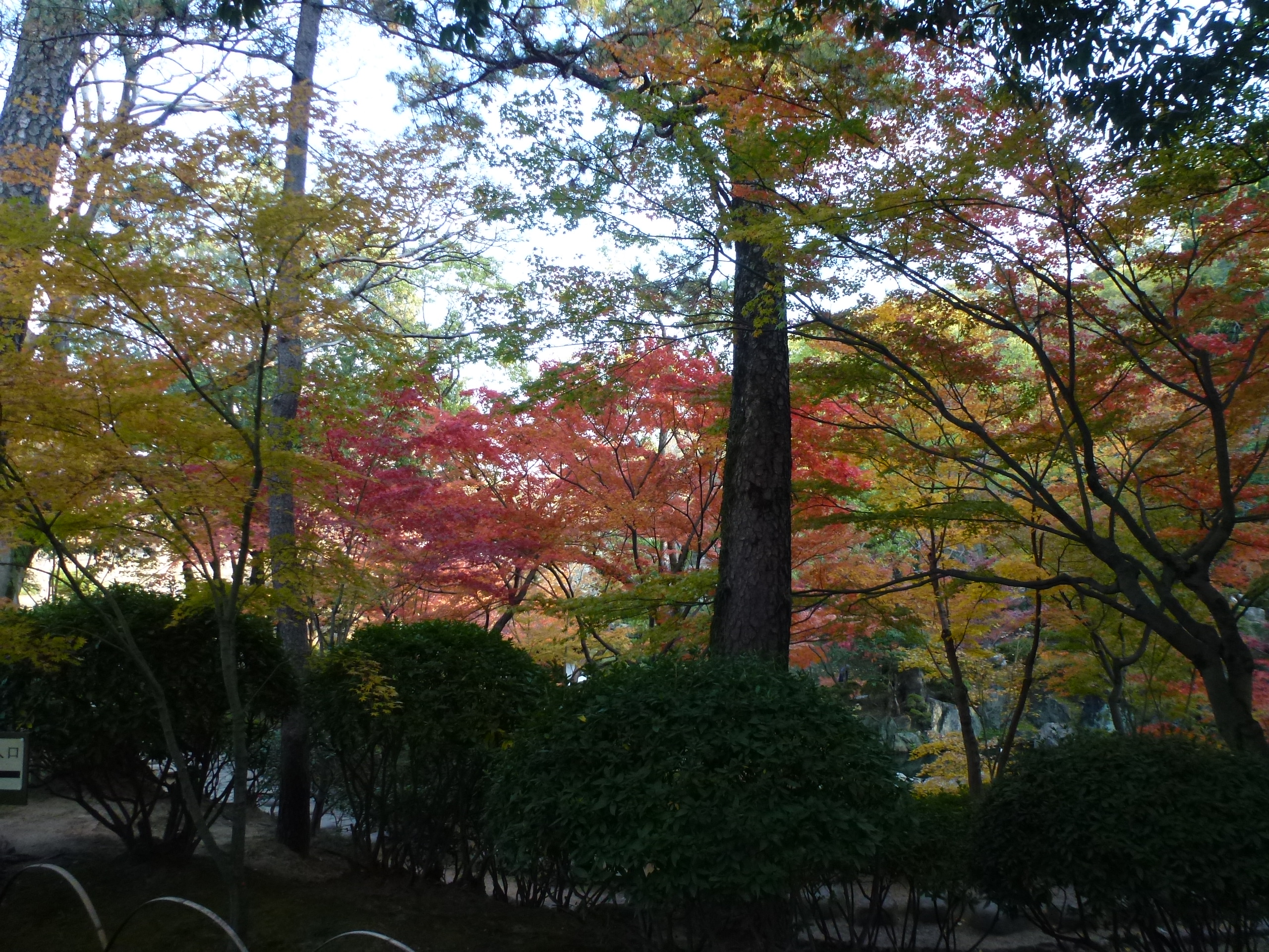 P1140033.JPG