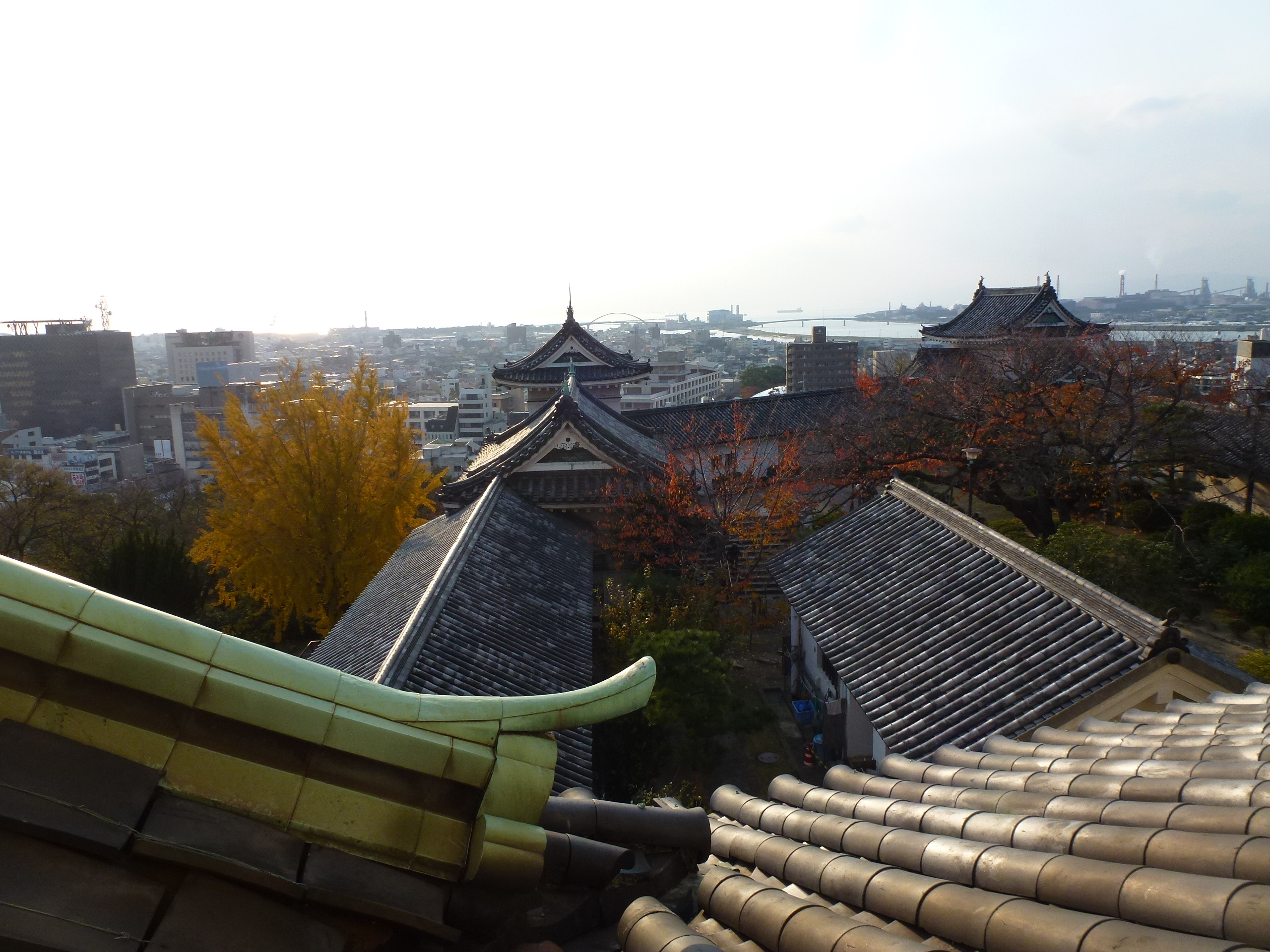 P1140044.JPG