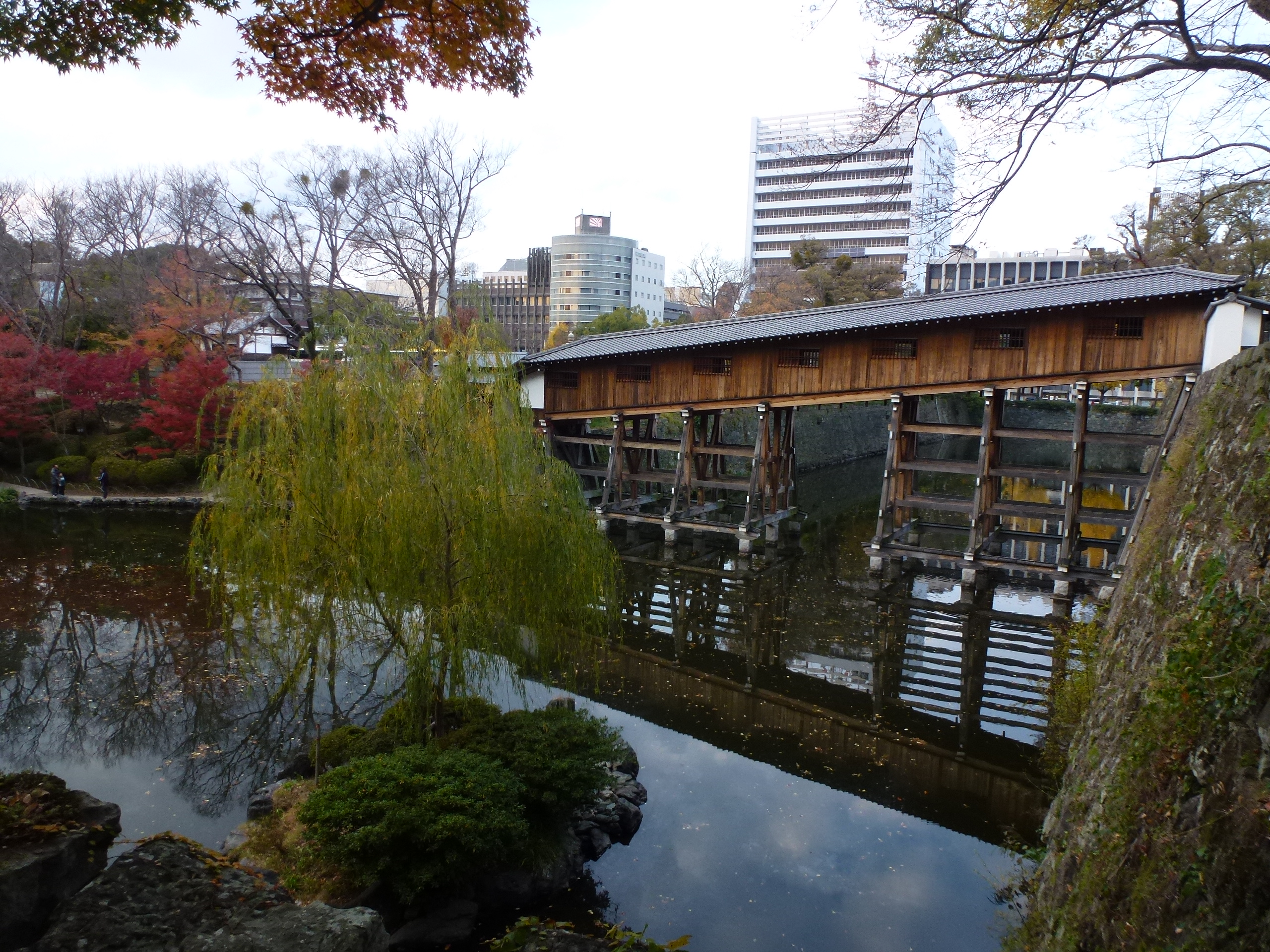 P1140054.JPG