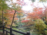 img0004.jpg
