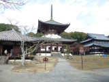 img0005.jpg